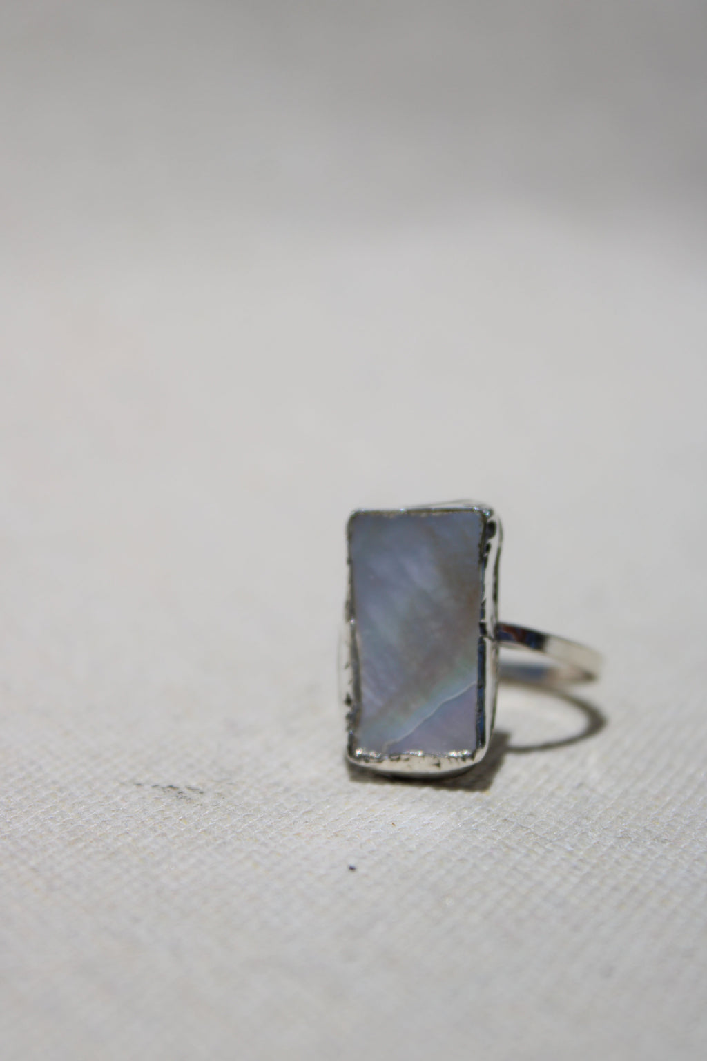 twinkle abalone 11.5